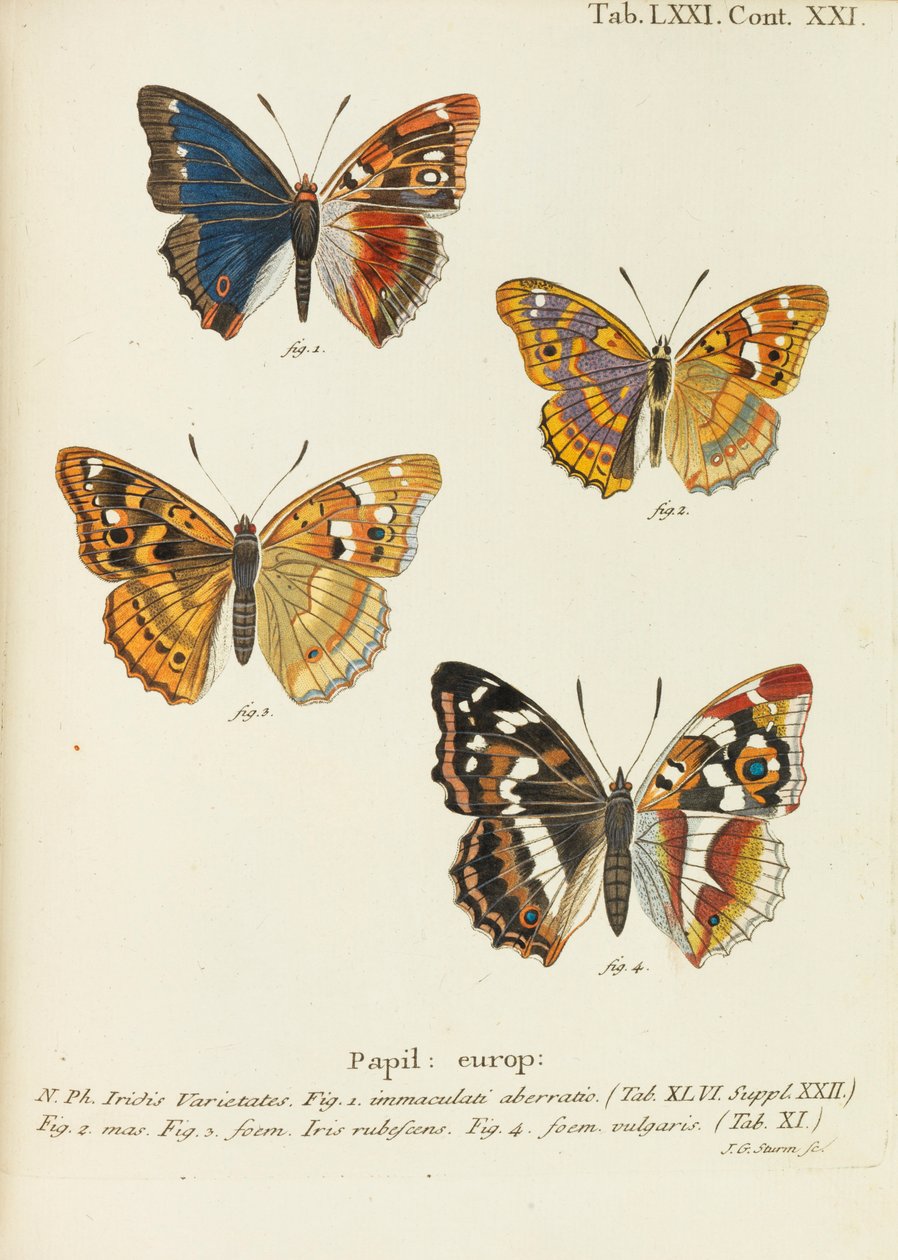 Sommerfuglene Sommerfuglene, 1777-1794. af Eugen Johann Christoph Esper