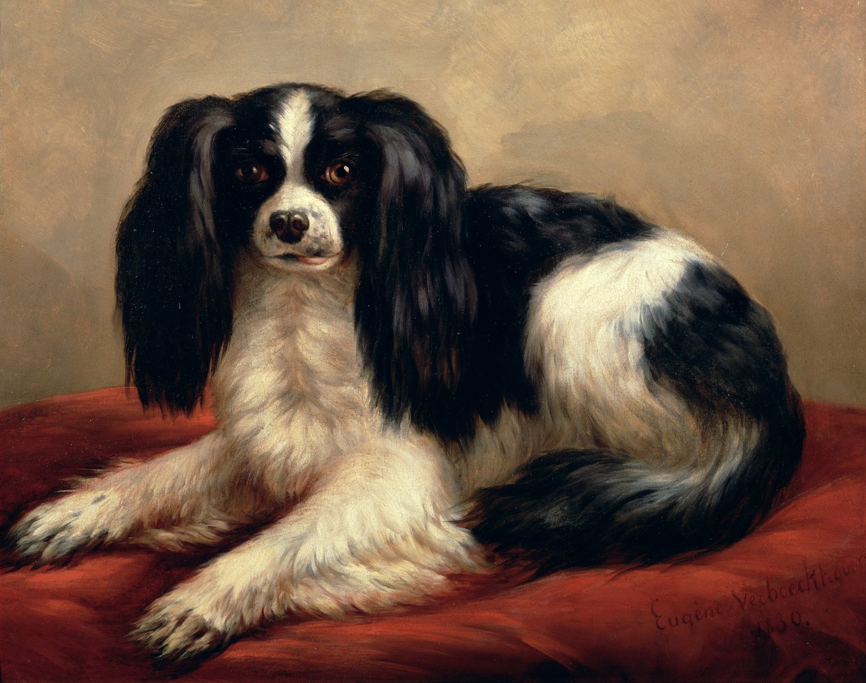 En King Charles Spaniel siddende på en rød pude af Eugene Joseph Verboeckhoven