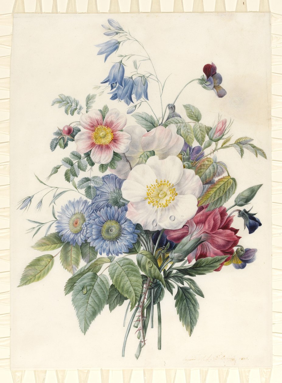 Blue Asters, Rosa Spinosissima Hybrid, Harebell, Violas, Cartnation and a Wild Rose, 1820 (wc & kropsfarve over grafitkontur på vellum) af Eugene A. L. d Orleans