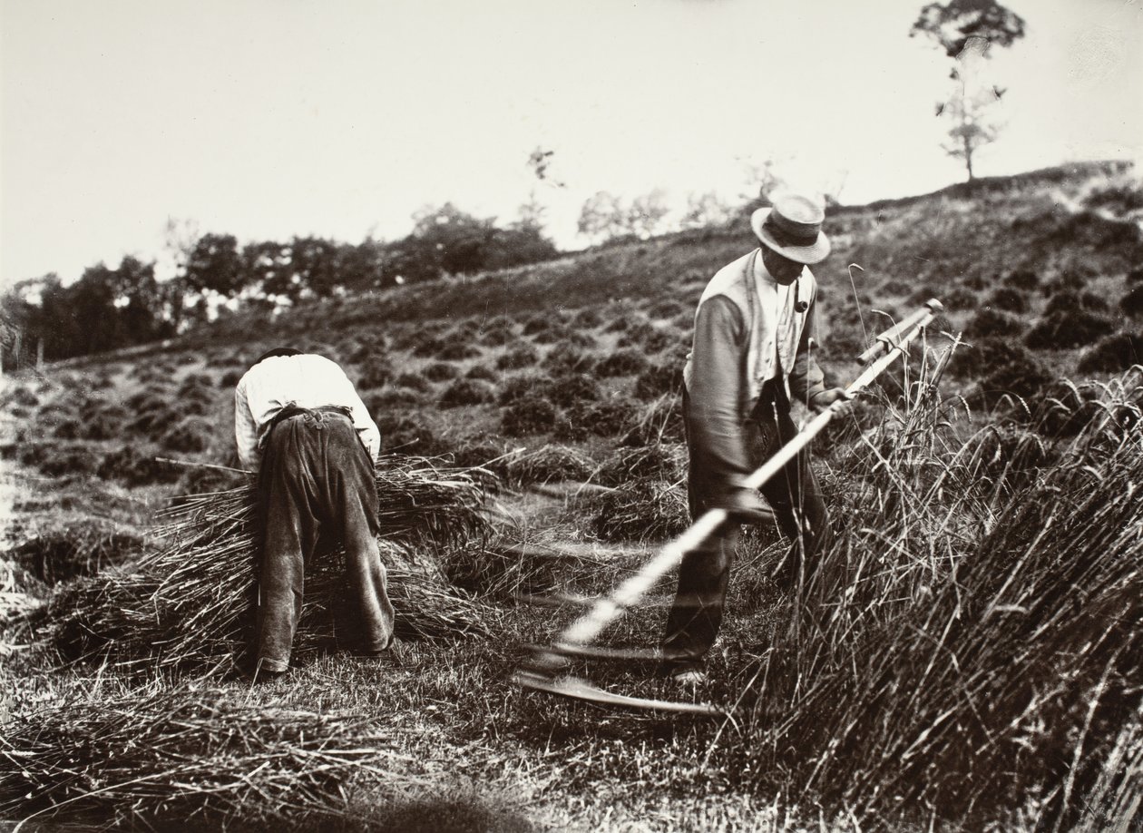Høstfolk, Somme af Eugène Atget