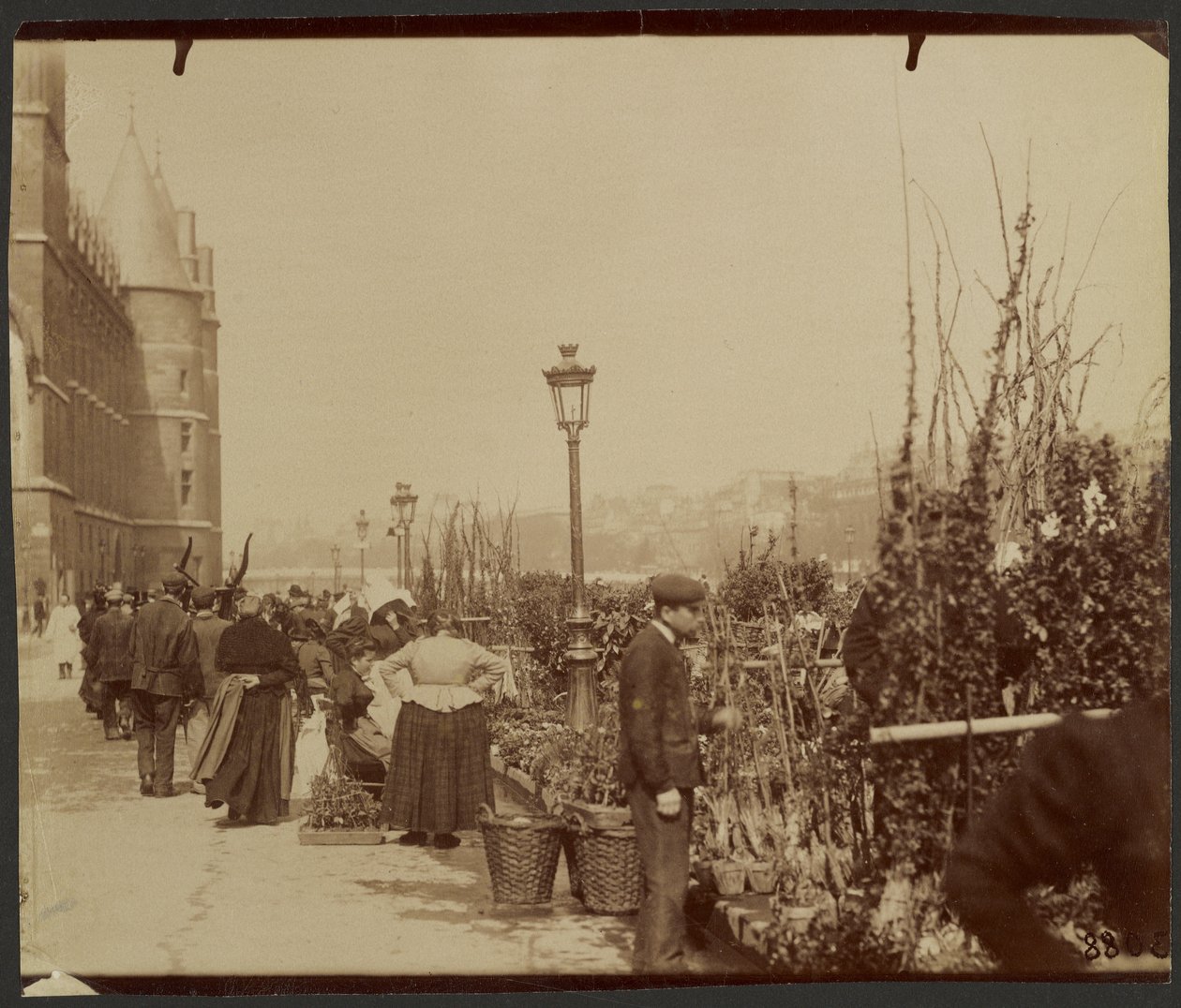 [Blomstermarkedet] af Eugène Atget