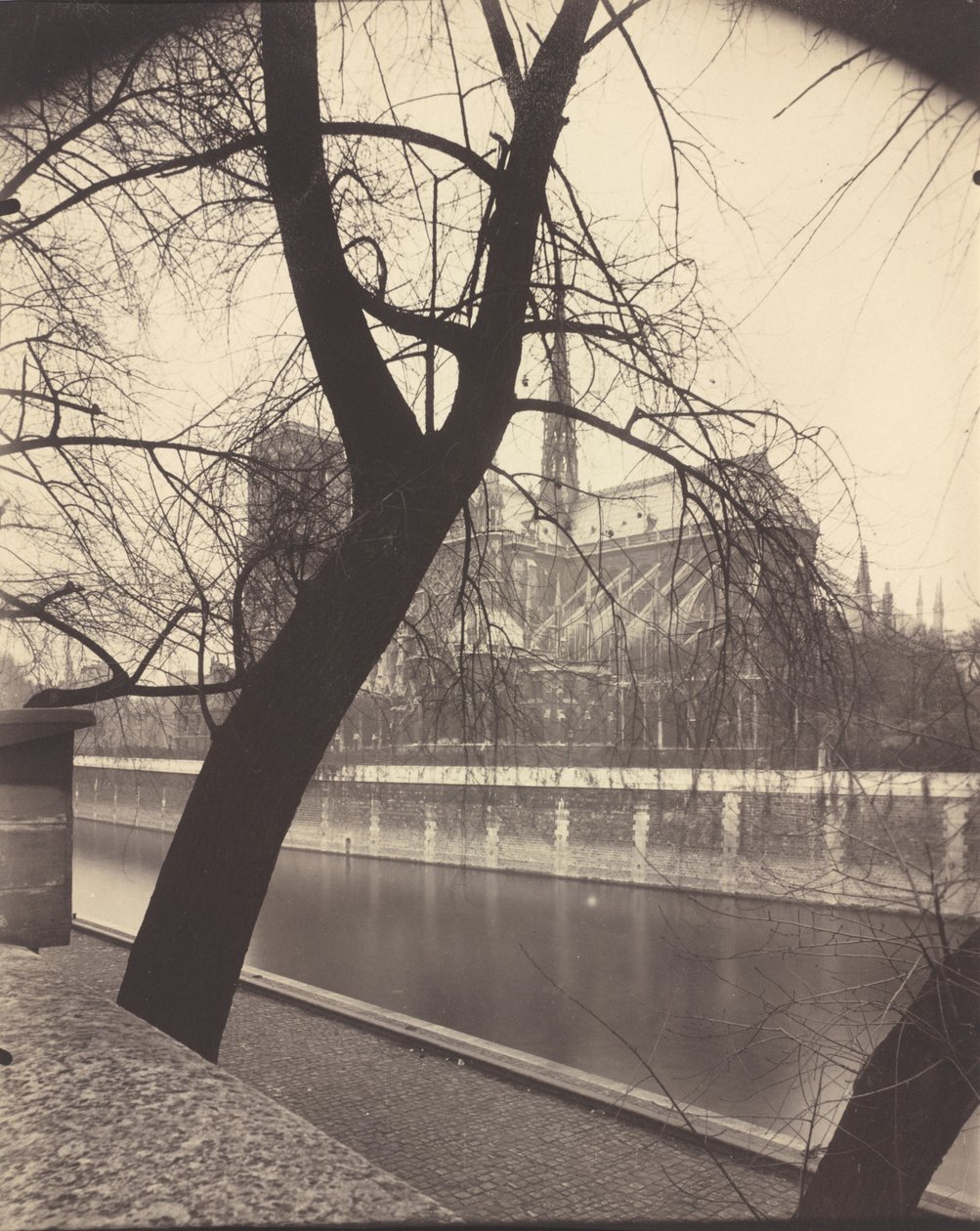 Notre-Dame,1922 (foto) af Eugène Atget