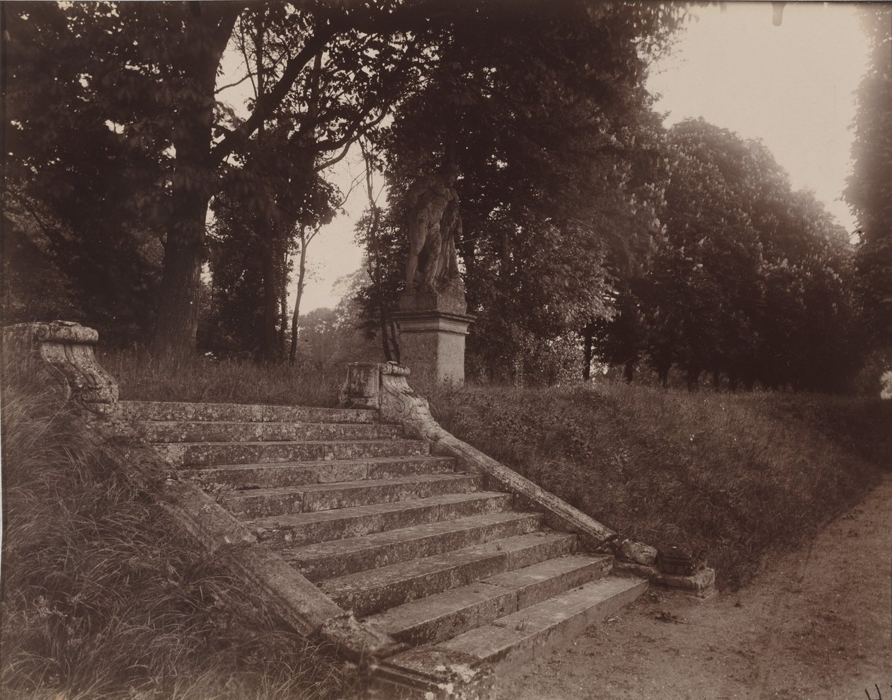 Parc de Sceaux,1925 (foto) af Eugène Atget