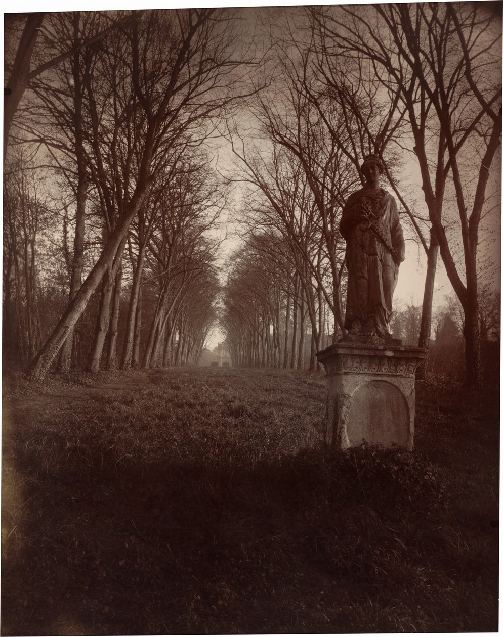 Parc de Sceaux,1925 (foto) af Eugène Atget