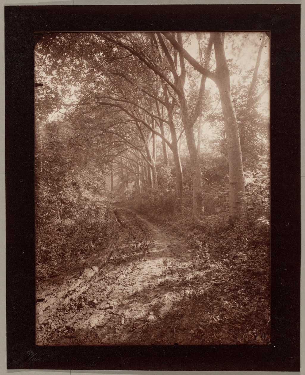 Parc de Sceaux af Eugène Atget