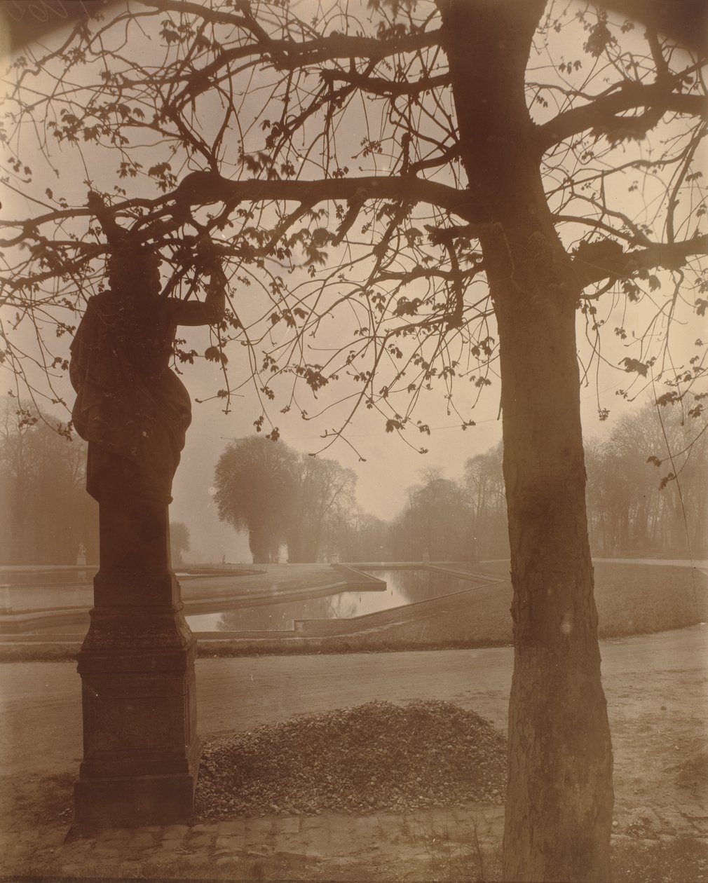 Saint-Cloud,1926 (foto) af Eugène Atget