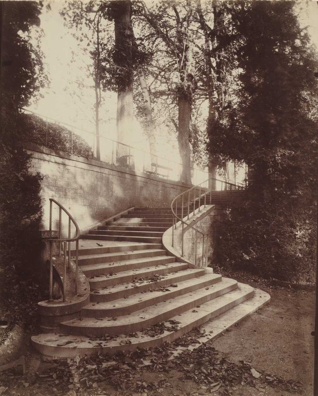 Trappen ved Saint-Cloud,1906 (foto) af Eugène Atget
