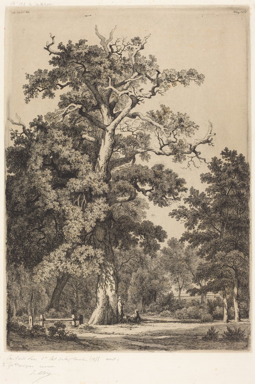 Gammel eg i Bois de Boulogne af Eugene Bléry