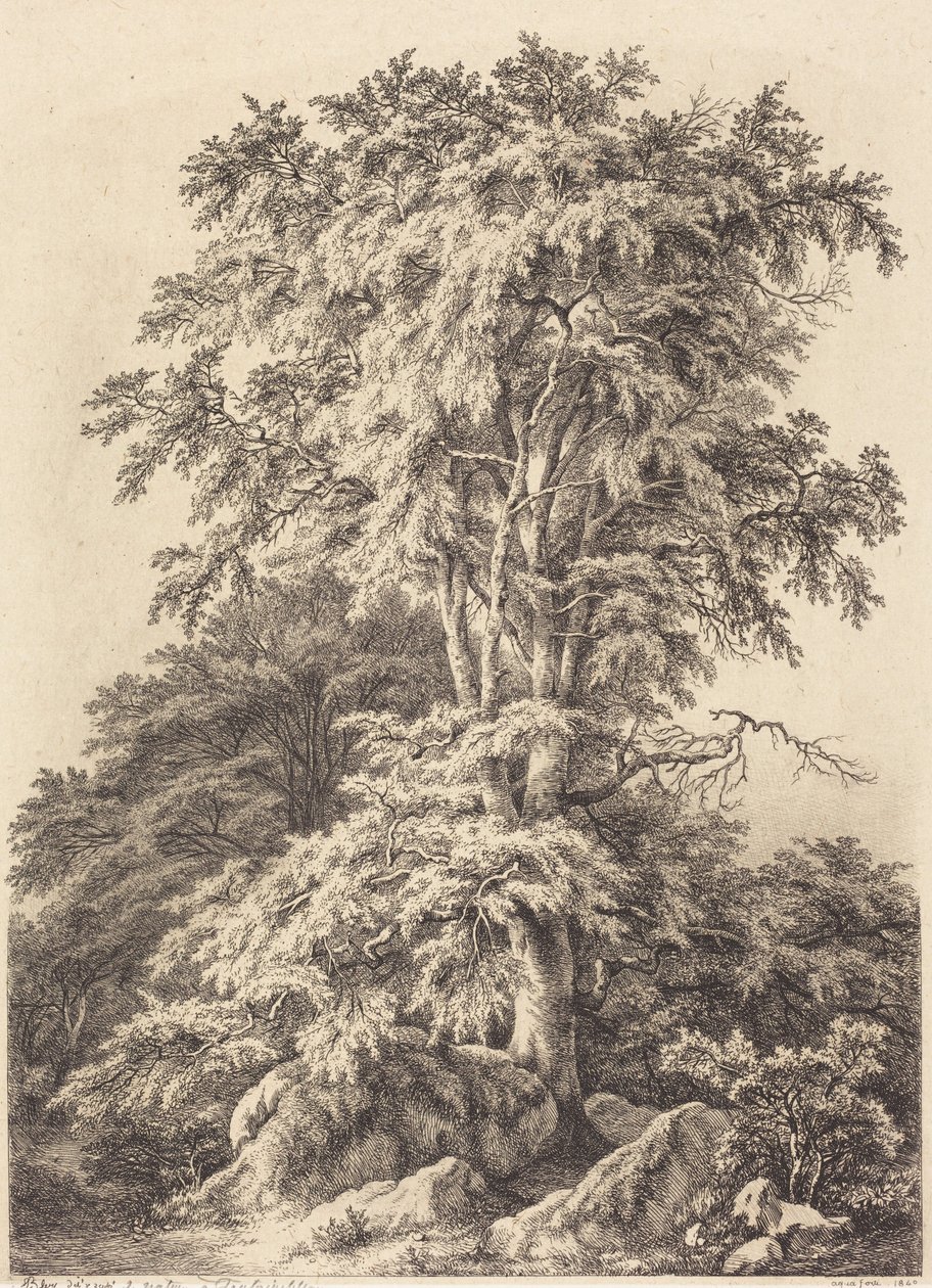 Bøgelund af Eugene Bléry