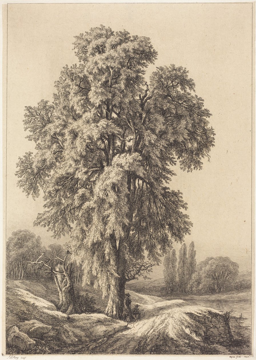 Elmetræet af Eugene Bléry