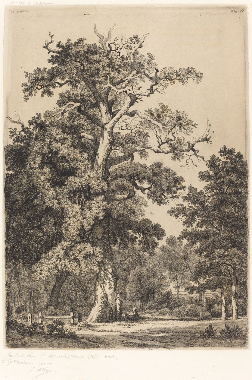 Gammel eg i Bois de Boulogne, 1855. af Eugene Bléry