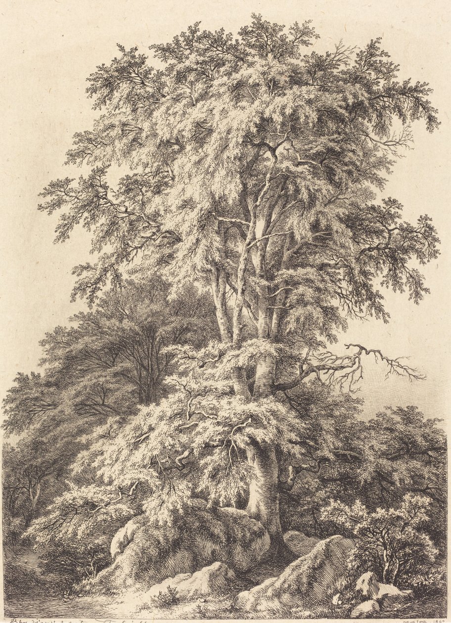 Beech Grove, 1840. af Eugene Bléry