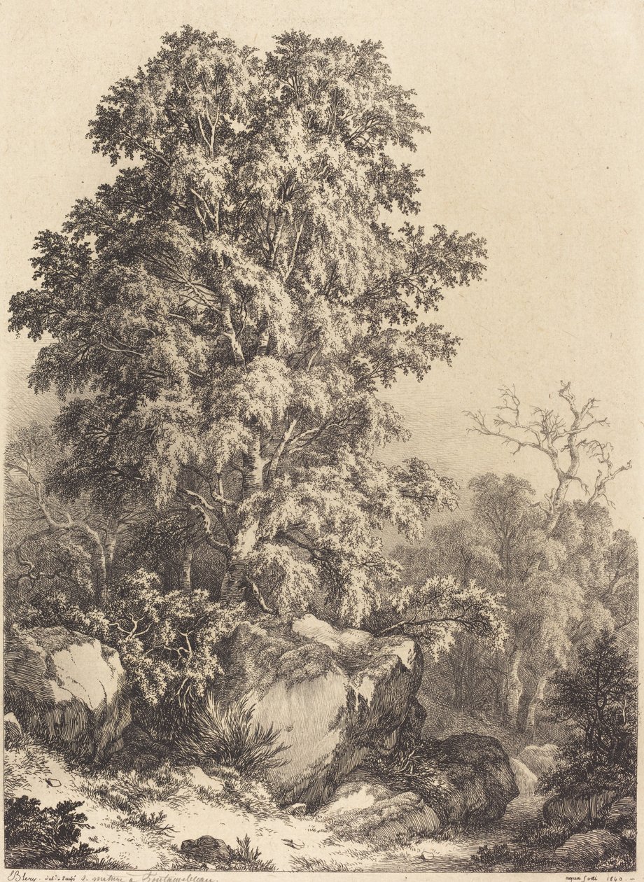 Beech Grove, 1840. af Eugene Bléry