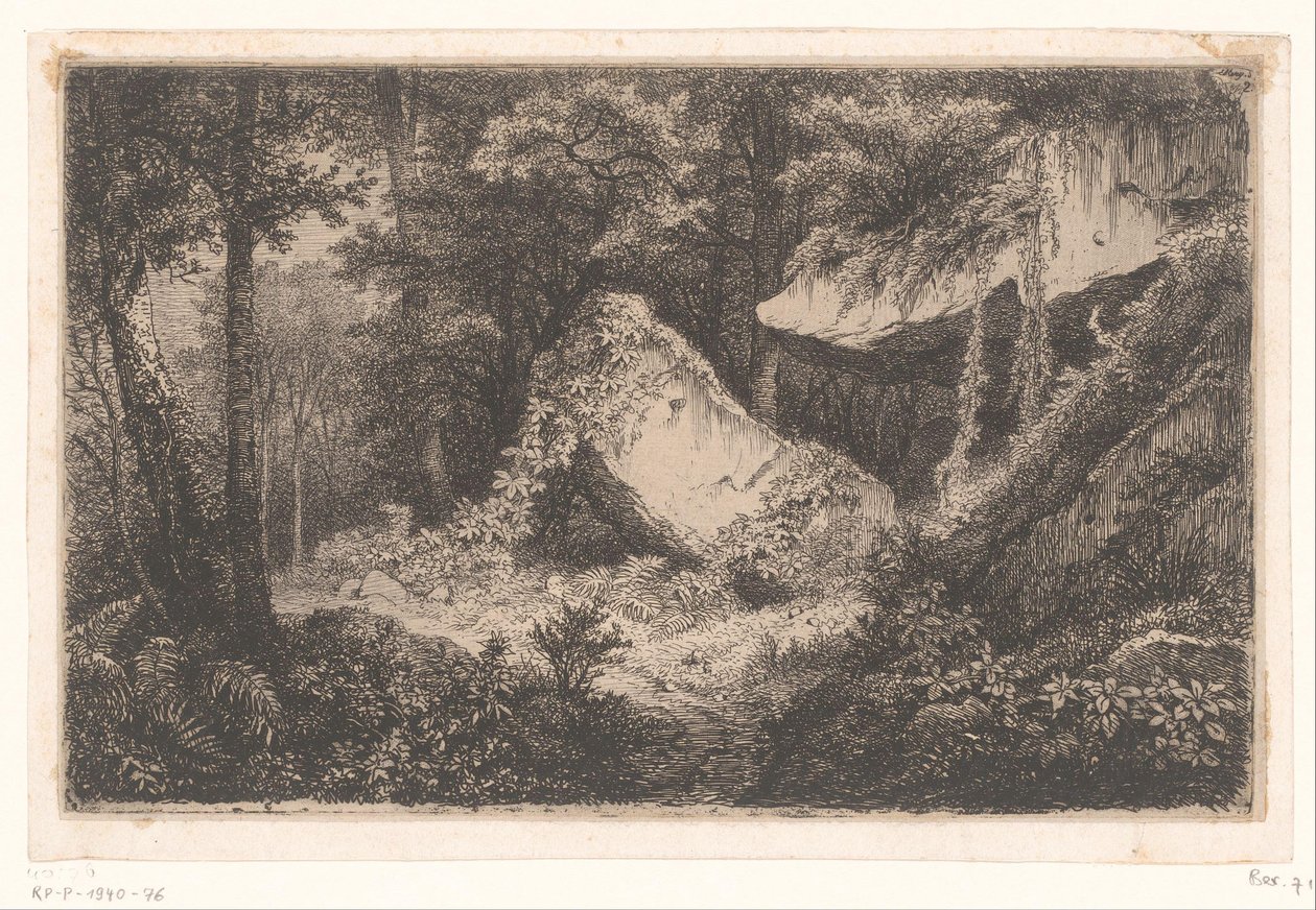 Begroeide rotsen i en bos De hvide klipper Suite med 8 raderinger indgraveret på naturen nær Dampierre af Eug. Bléry (serietitel) af Eugene Bléry
