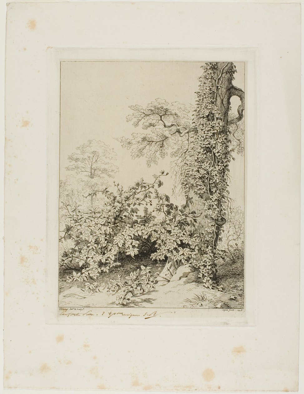 Bramble og Ivy af Eugene Bléry