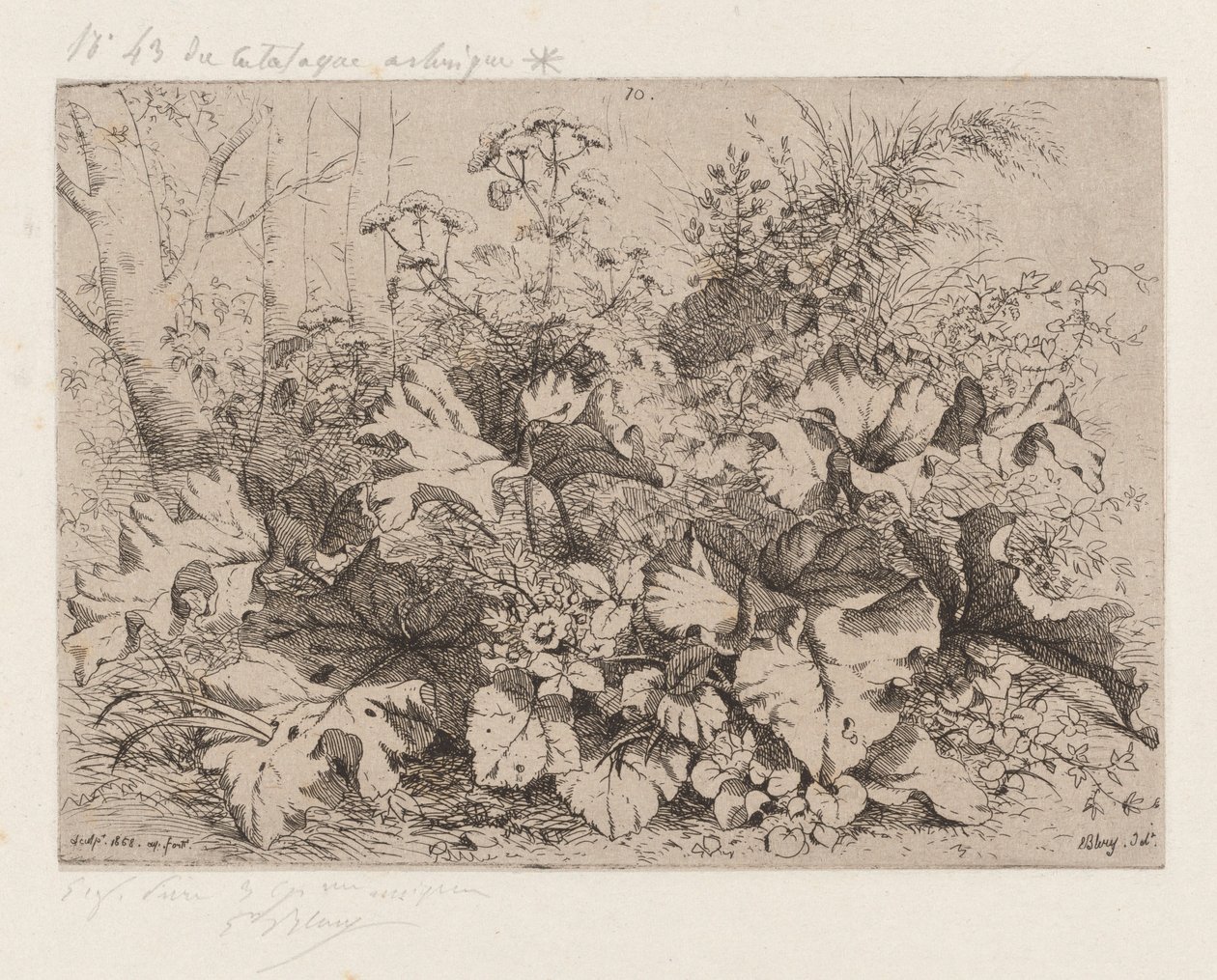 Burre i blomst, 1858. af Eugene Bléry