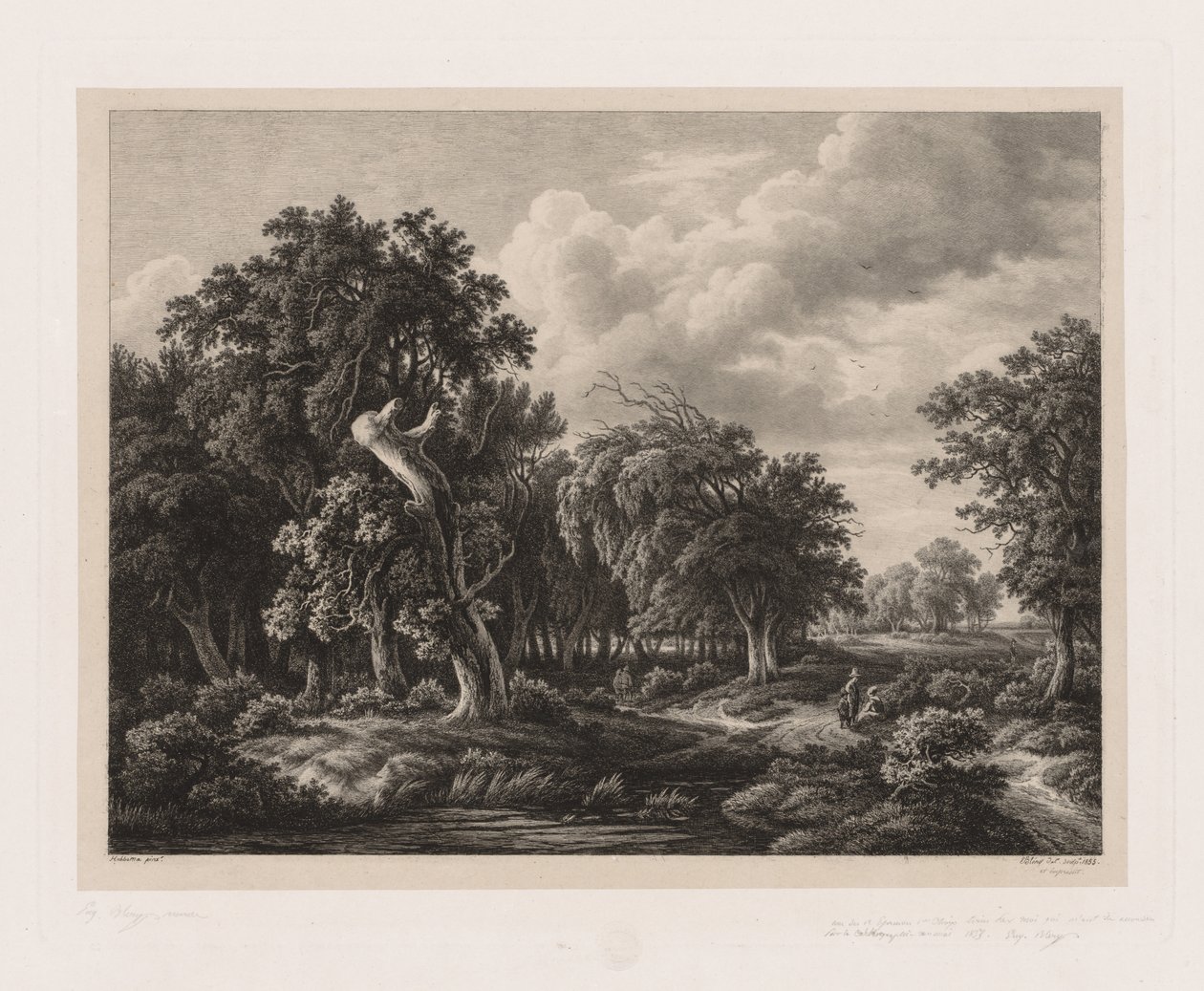 Grupper af forskellige planter tegnet efter naturen: nr. 7, 1855. af Eugene Bléry