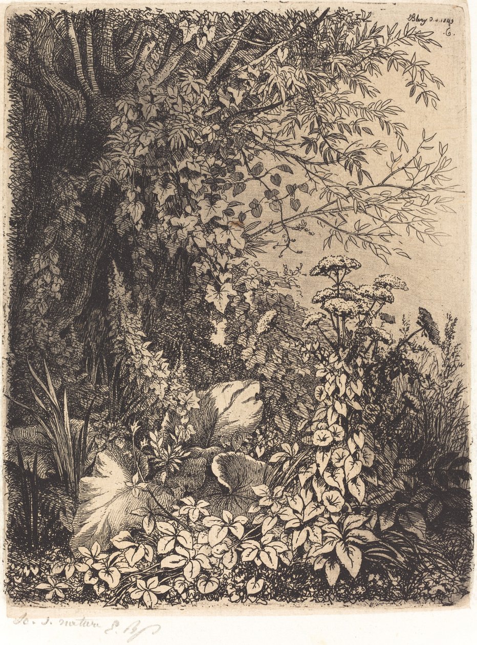 La bardane au saule Burre med pil, udgivet 1849. af Eugene Bléry