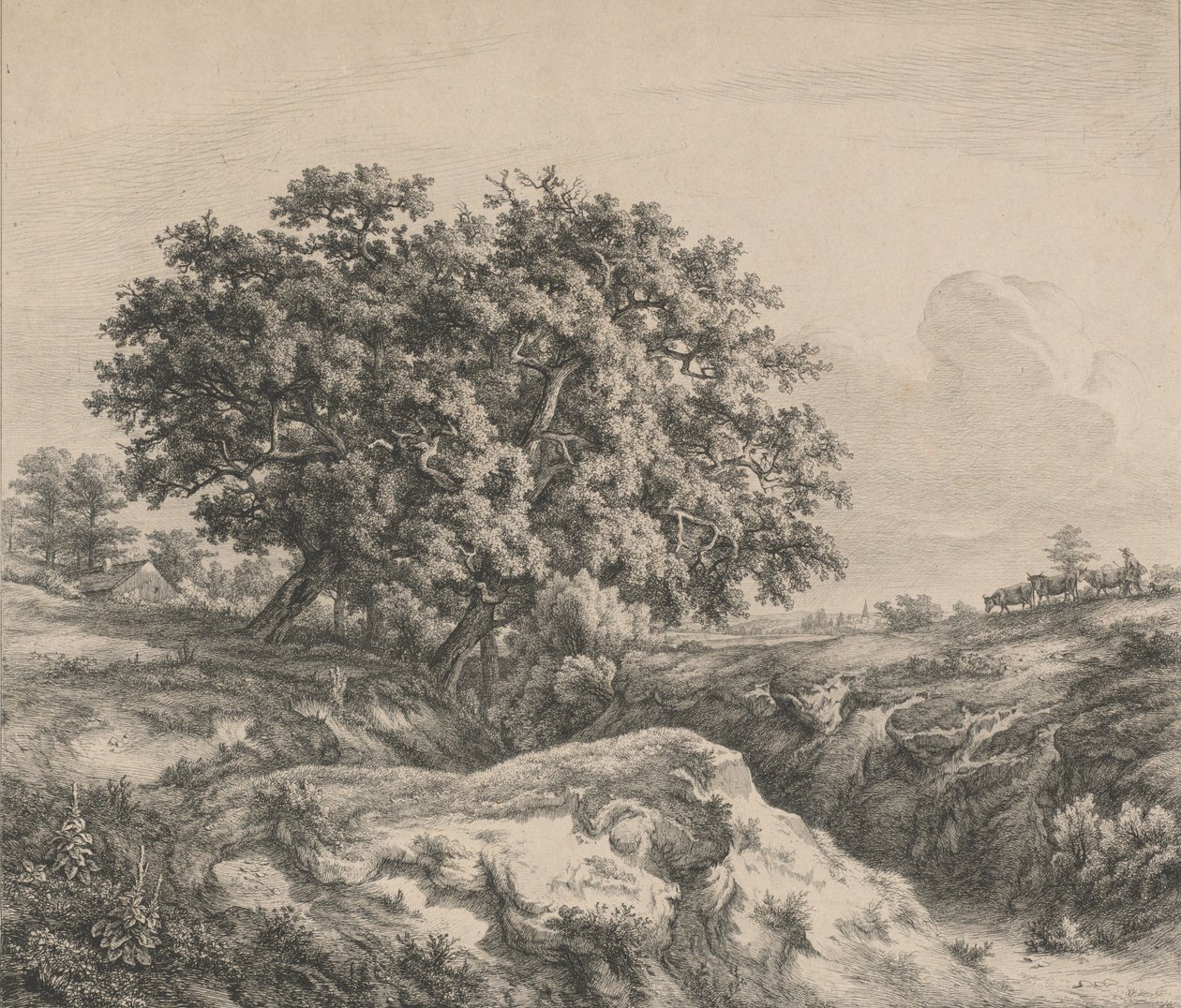 Egetræ ved en kløft, 1845. af Eugene Bléry