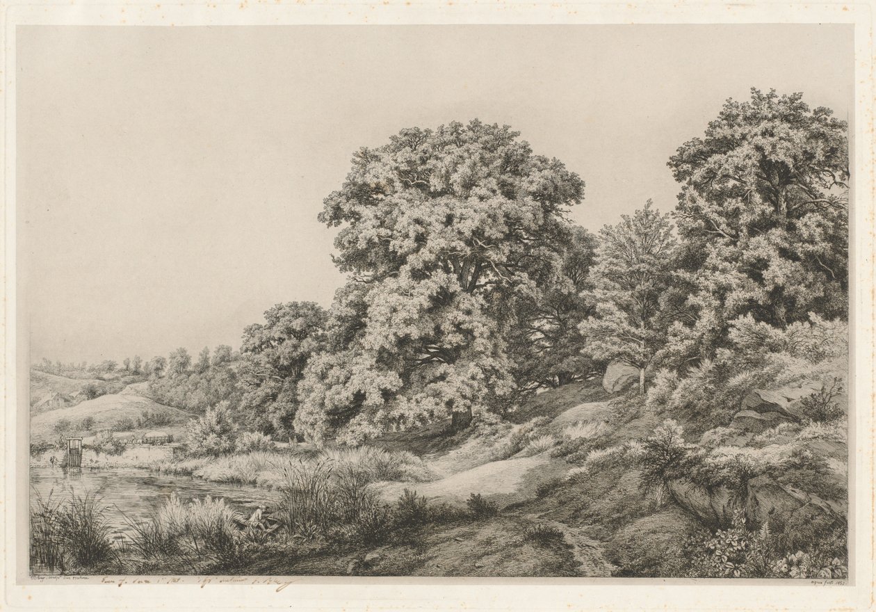 Ege nær en Dam af Eugene Bléry