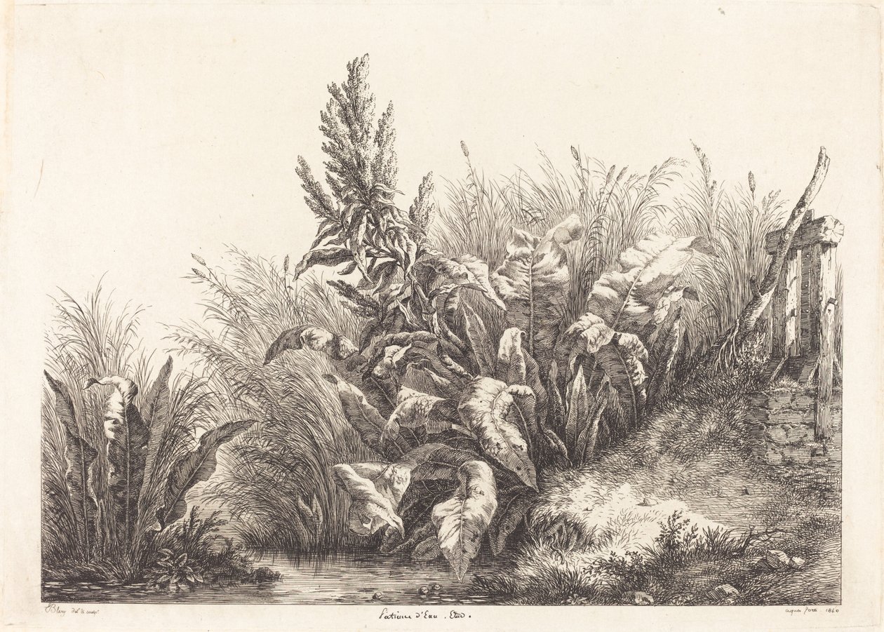 Vandtålmodighed, undersøgelse (studie af en tålmodighedsdok) af Eugene Bléry