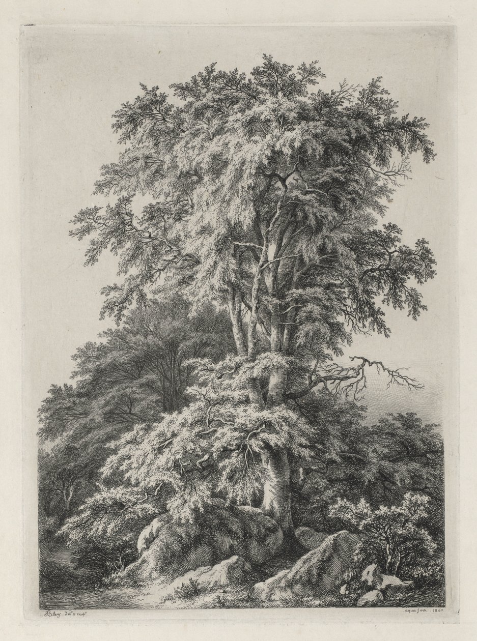 Studier tegnet og indgraveret efter naturen: Stranden, Fontainbleau..., 1840. af Eugene Bléry