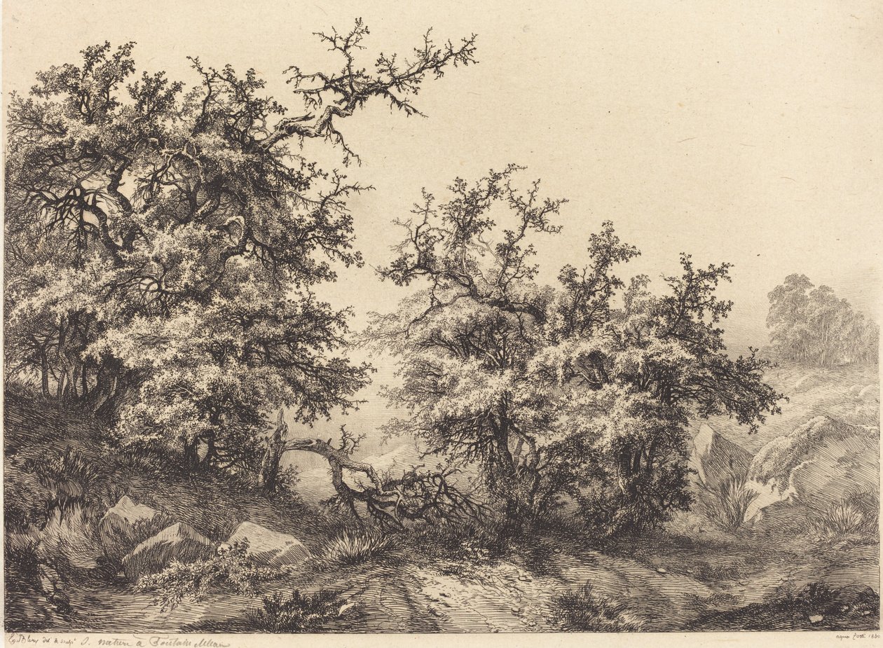 Tornbuske af Eugene Bléry
