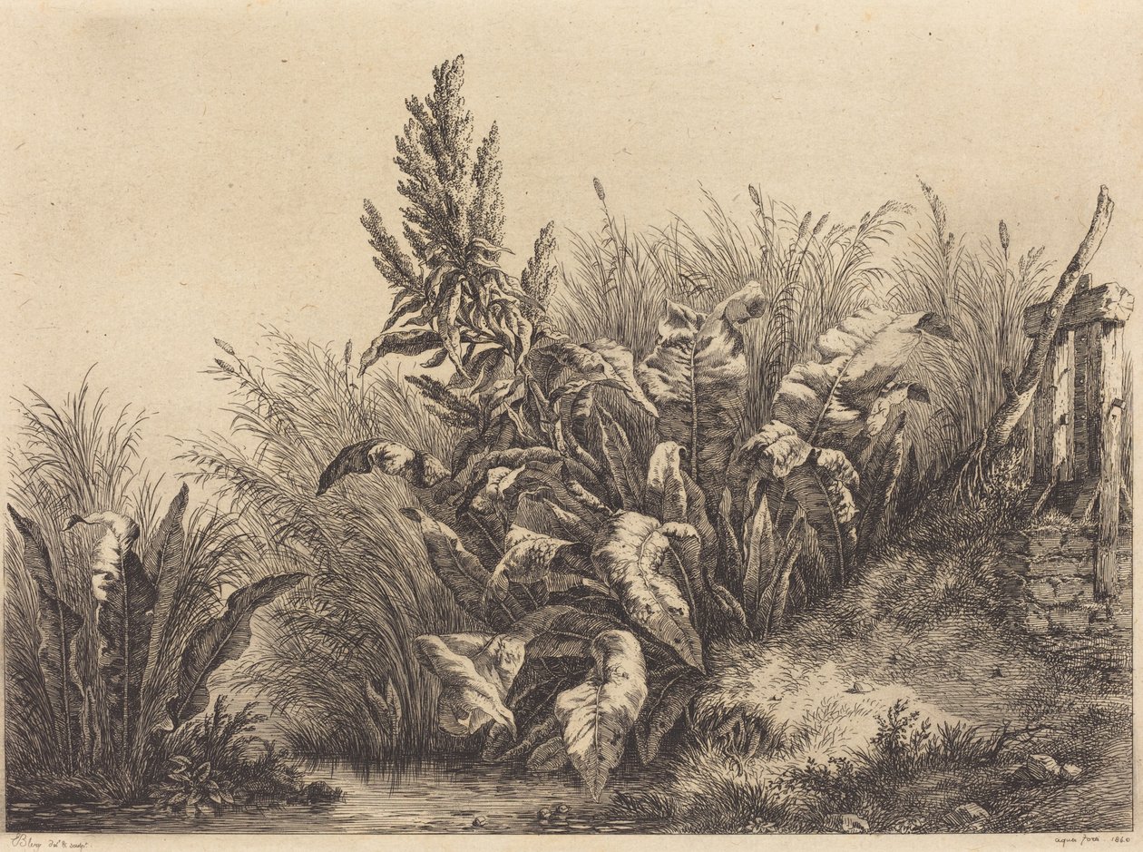 Vanddok af Eugene Bléry