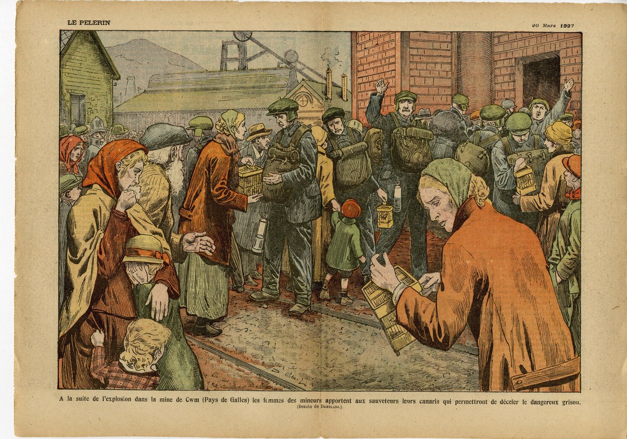 Illustration af Eugene Damblans (1865-1945) i Le Pelerin, 20/03/27 - Efter eksplosionen i minen af... bringer minearbejdernes kvinder til redningsfolk deres kanariefugle, der gør det muligt at afskrække det farlige brandspjæld - England Storbritannien , mi af Eugene Damblans