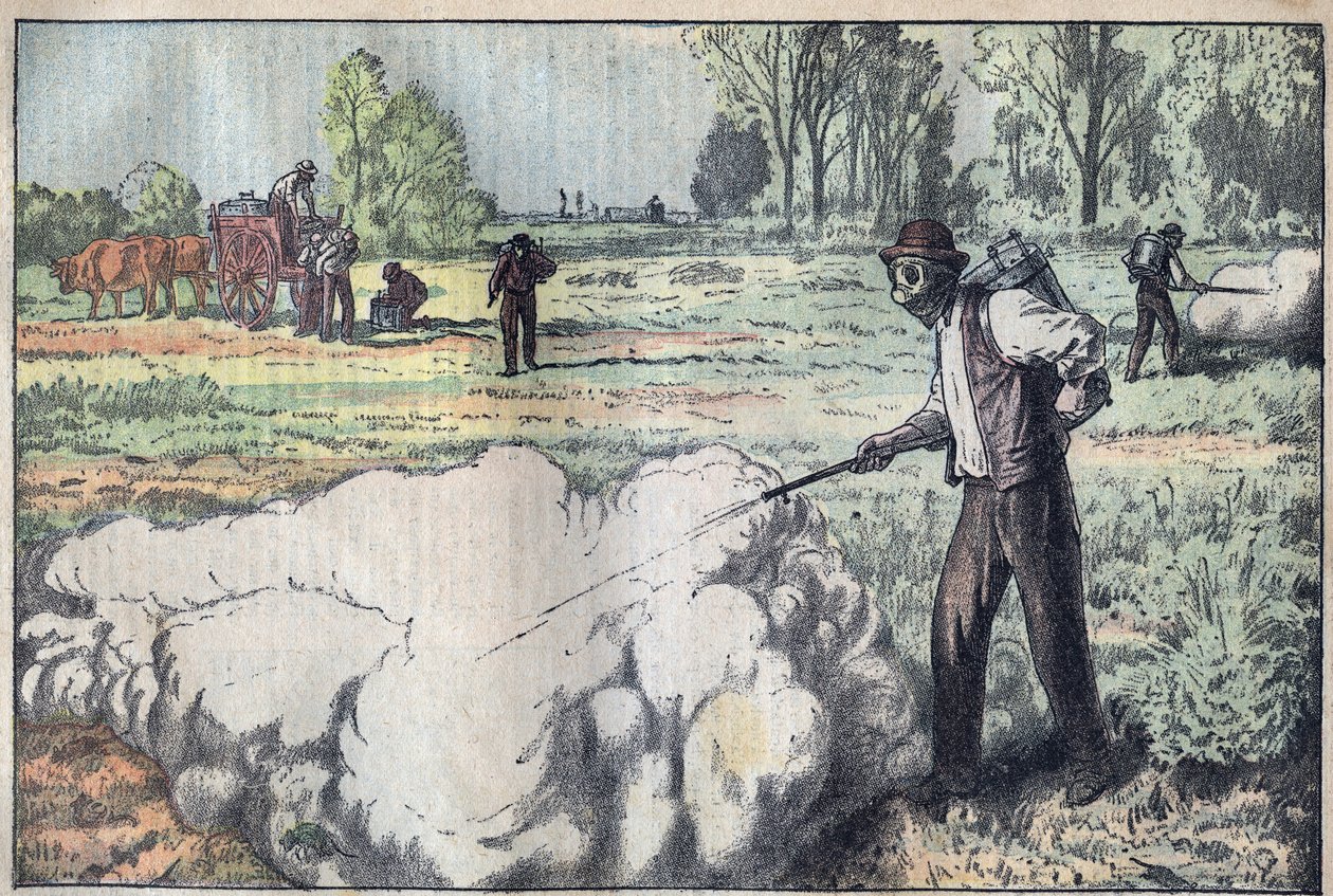 Ødelæggelsen af muloterne (Apodemus) af den kvælende gas i daggry - gravering af Damblans - le-pelerin af 1923 af Eugene Damblans