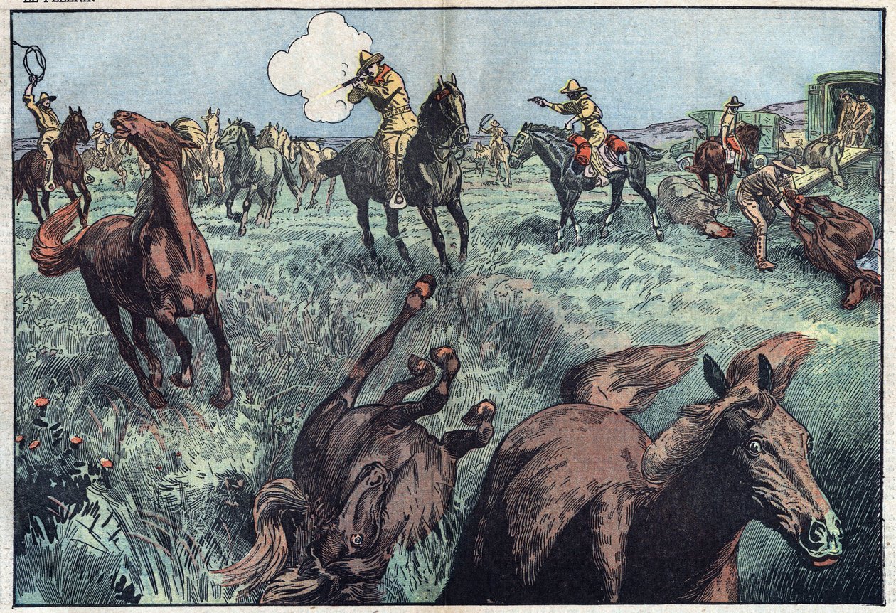 Vilde heste slagtes i USA. Illustration af Damblans. I "" Le Pelerin"" af 31. januar af Eugene Damblans