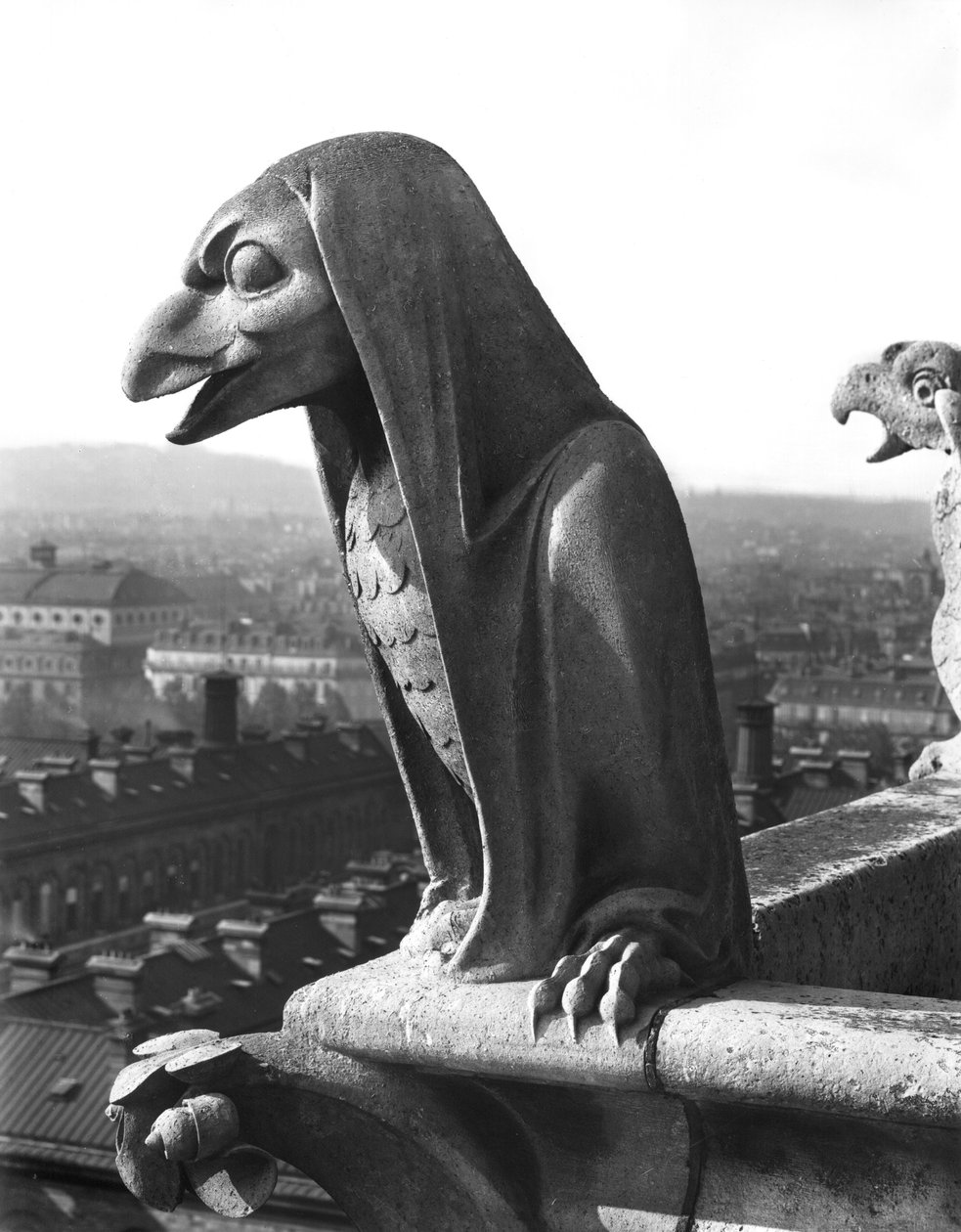 Gargoyle fra balustraden i Grande Galerie, replika af en original (sten) fra det 12. århundrede (s/h foto) af Eugene Emmanuel Viollet le Duc