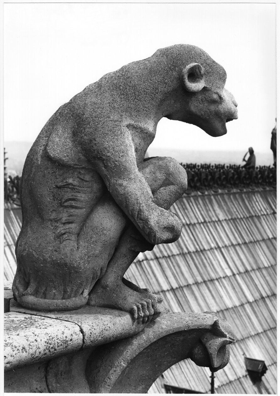 Abegargoyle, fra balustraden i Grande Galerie på vestfacaden, replika af en original fra det 12. århundrede (sten) (s/h foto) af Eugene Emmanuel Viollet le Duc