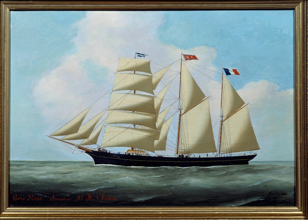 Le Trois Mats Træ-Rose maleri af Eugene Margueritte-Grandin dit Eugene Grandin (1833-1916) 1886 Søn. 0,56x0,81 m Fecamp, Museum of the Newfoundland af Eugene Grandin