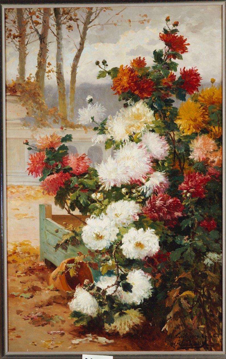 Krysantemum i en muret have af Eugene Henri Cauchois