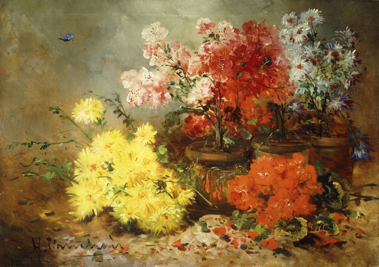 Tusindfryd, Begonia og andre blomster i potter, af Eugene Henri Cauchois