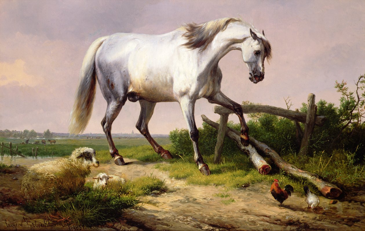En grå hingst med får og fjerkræ af Eugene Joseph Verboeckhoven