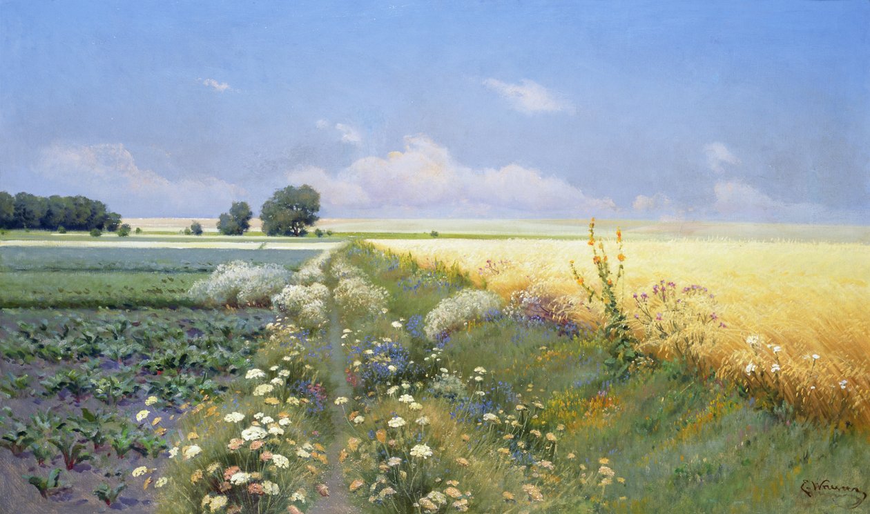 Sommer Landskab af Eugeniusz Wrzeszcz