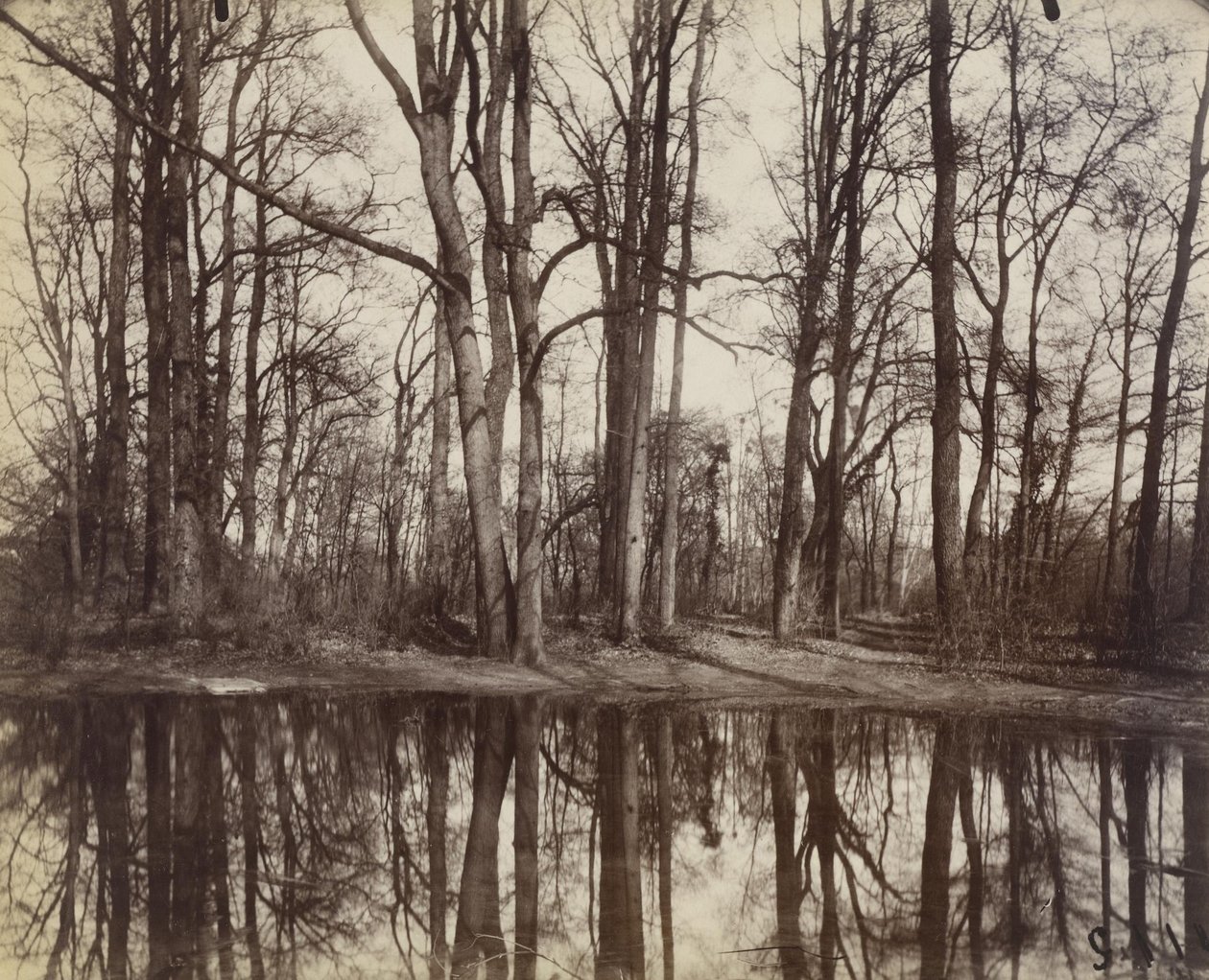 Saint-Cloud (haver i slottet Philippe Duc dOrleans) af Eugène Atget