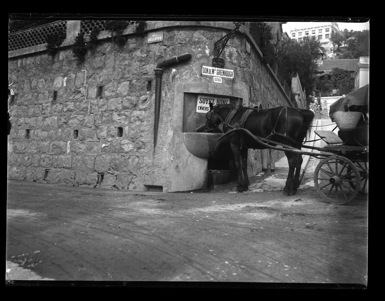 Montecarlo af Eugène Trutat