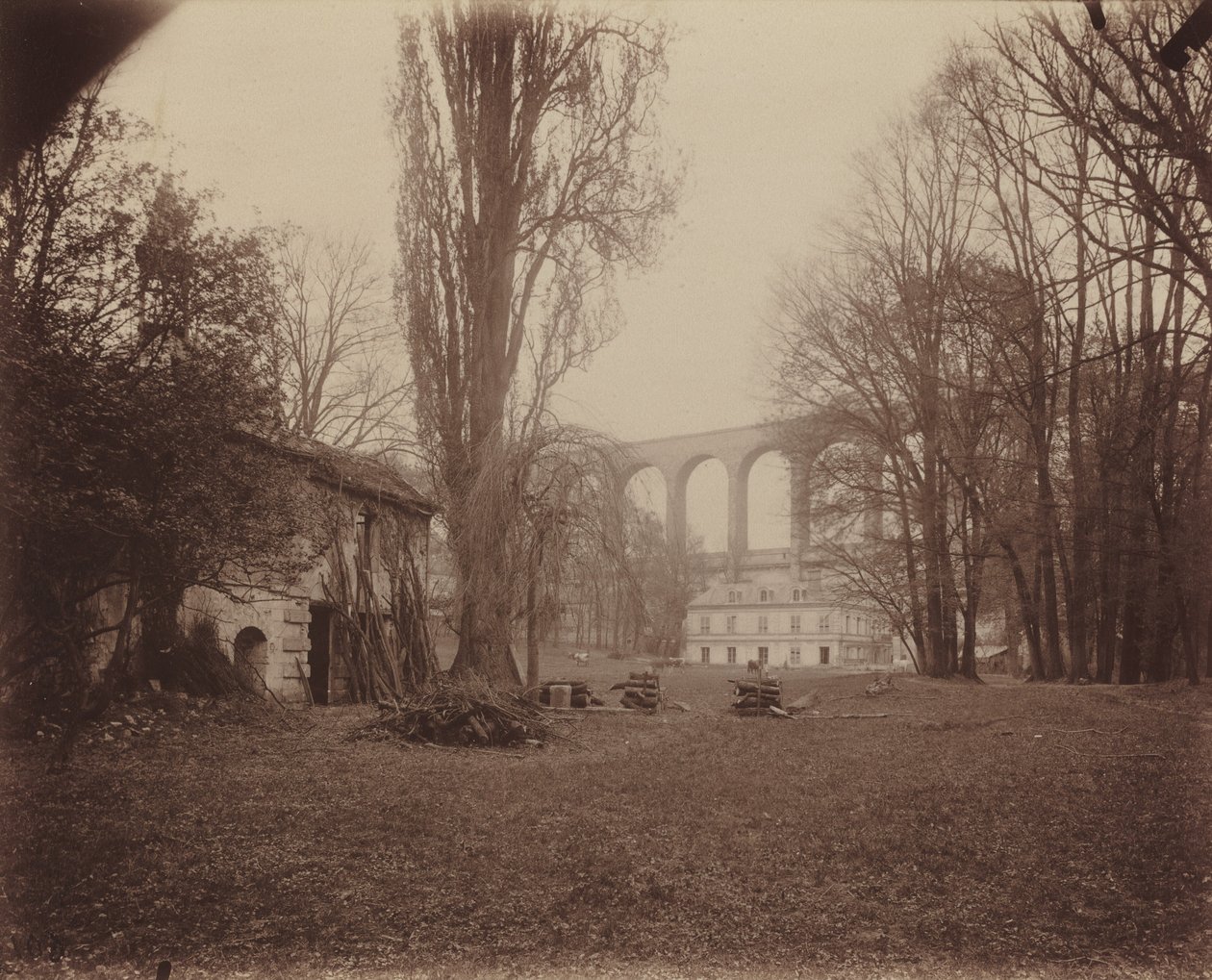Arcueil-Cachan, Madame de Provignys park af Eugène Atget
