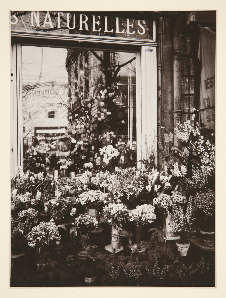 Blomsterbutik -37 (Blomsterbutik) af Eugène Atget