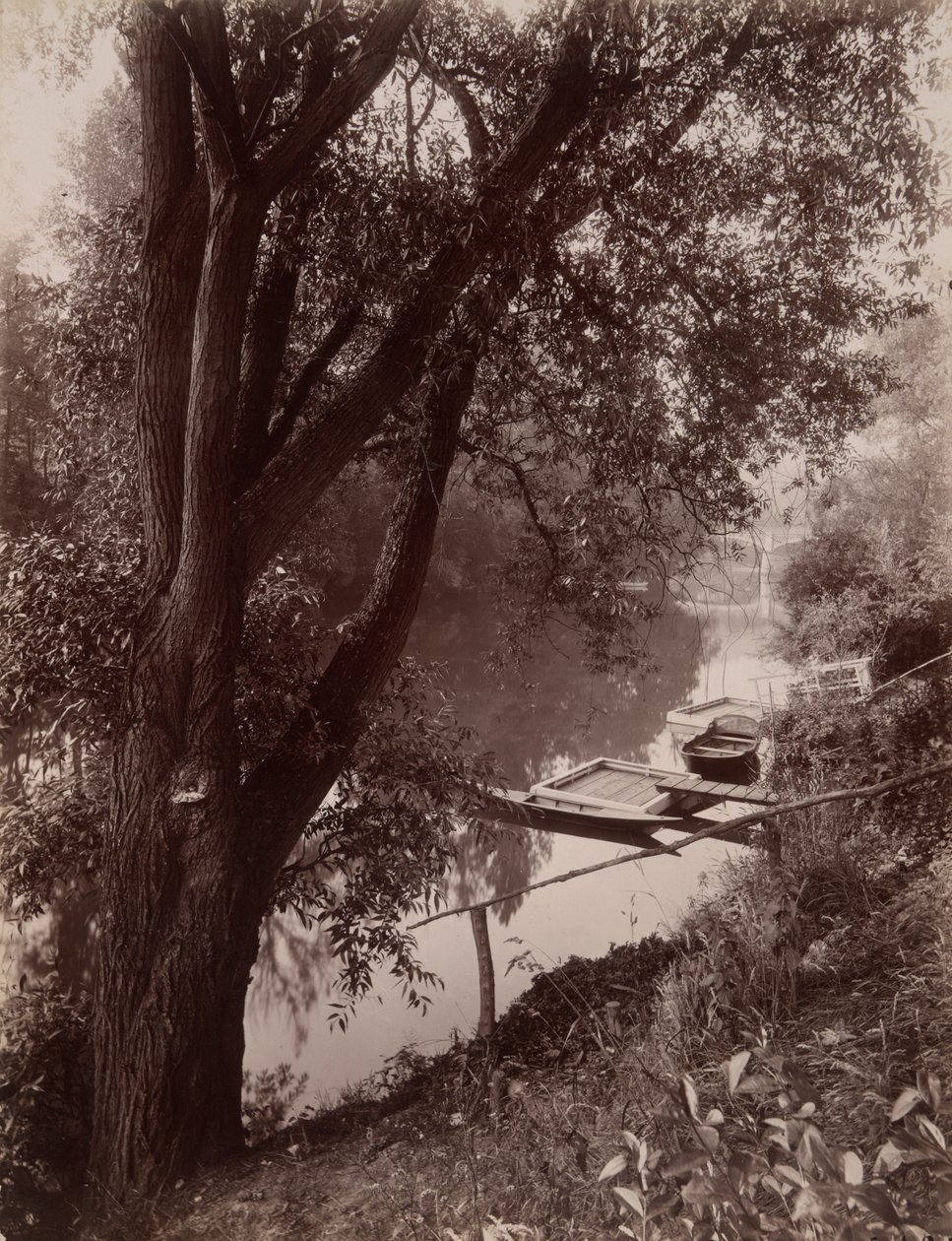 Marne? La Varenne (Marne ved La Varenne) af Eugène Atget
