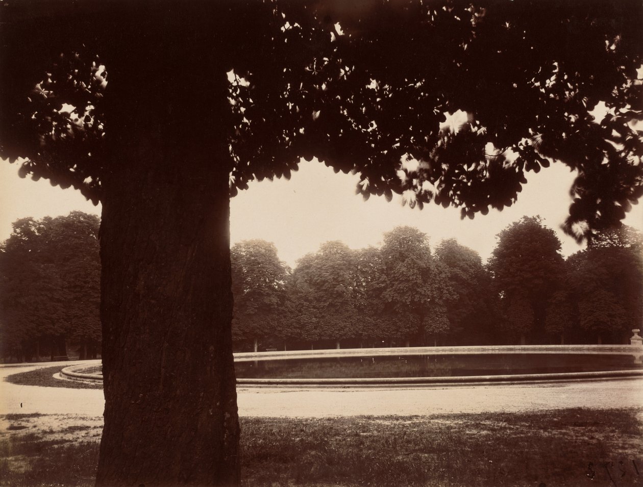 Saint-Cloud,1926 (foto) af Eugène Atget