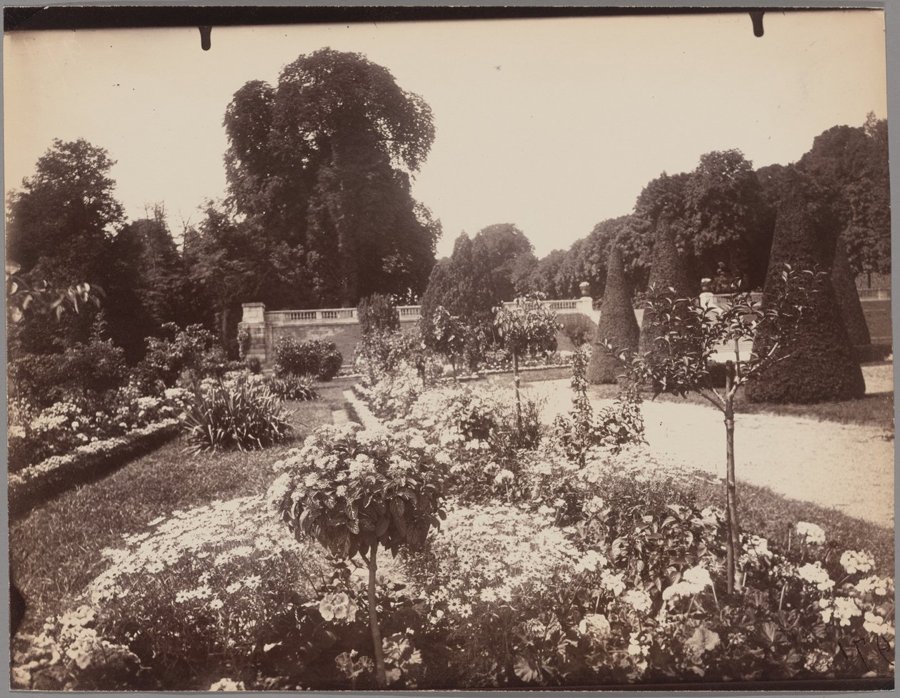 Saint-Cloud af Eugène Atget