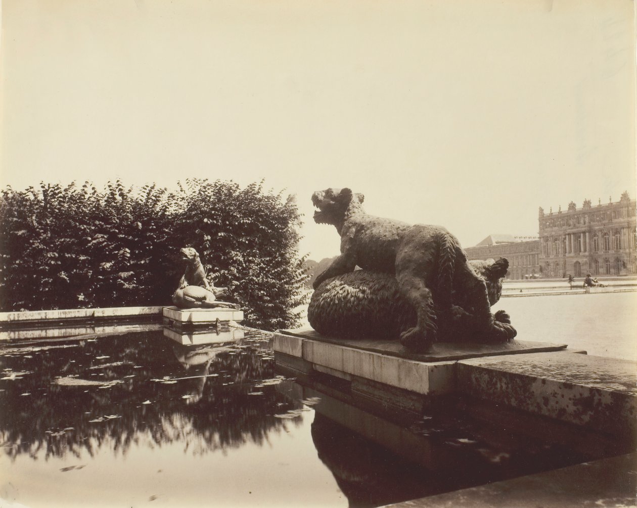 Versailles, Fontaine du Point du Jour, Tiger Slaying a Bear af Houzeau, 1903. af Eugène Atget