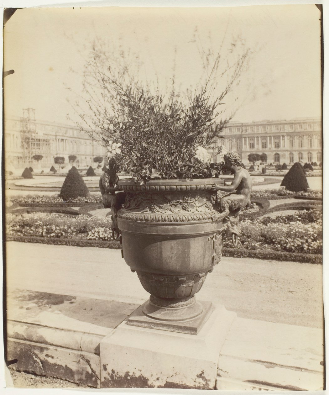Versailles, Vase af Ballin, 1902. af Eugène Atget