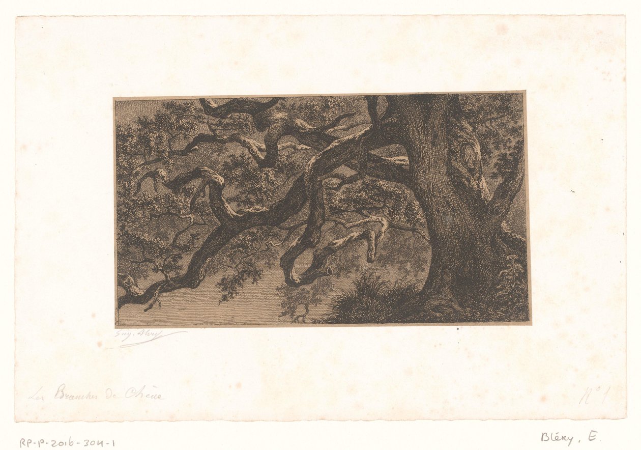 Kastanjetakken Egegrene (titel på objekt) Små udsigter over skoven i Fontainebleau (serietitel) af Eugène Bléry (signed by artist)