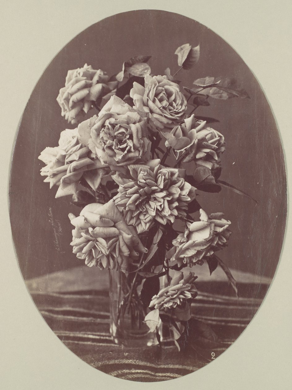 [Roser], ca. 1875. af Eugène Chauvigné