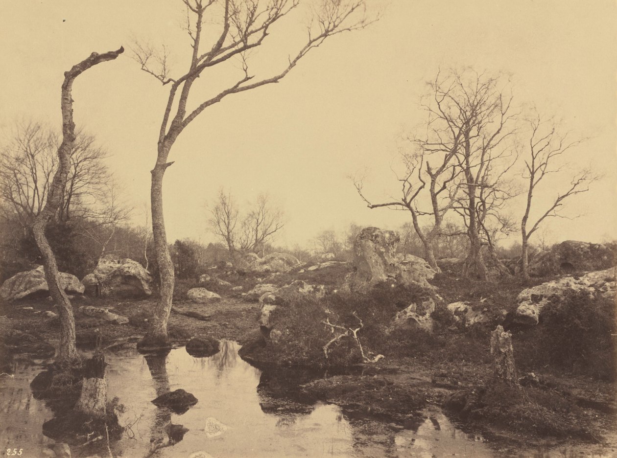 Belle Croix, ca. 1858 (foto) af Eugène Cuvelier